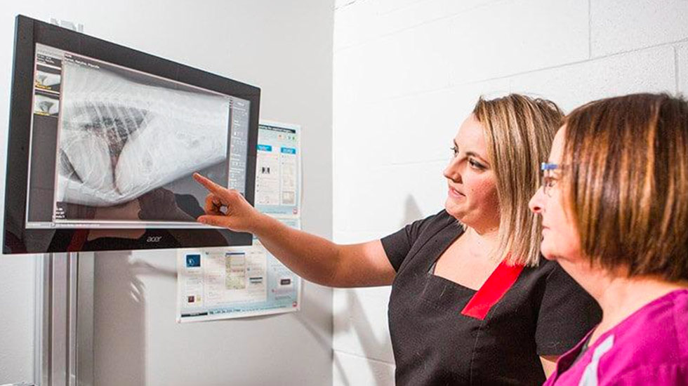 imagerie-medicale-clinique-veterinaire-felichien-saint-felicien